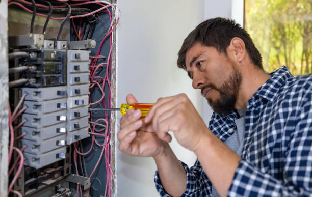 Best Electric Panel Repair  in Pioche, NV